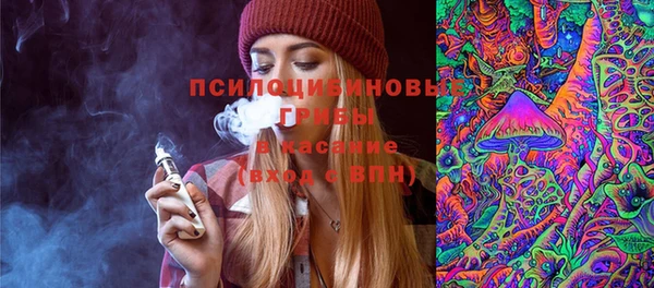 крисы Армянск
