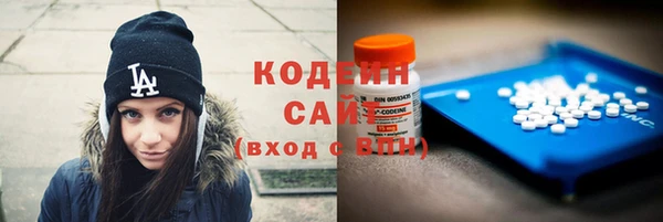 крисы Армянск