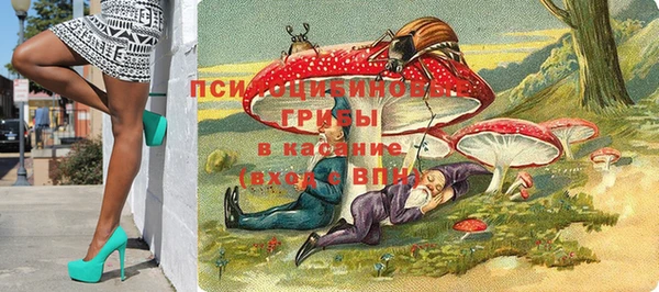 крисы Армянск