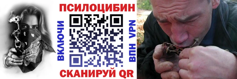 Купить где  Никольск  Галлюциногенные грибы ЛСД 